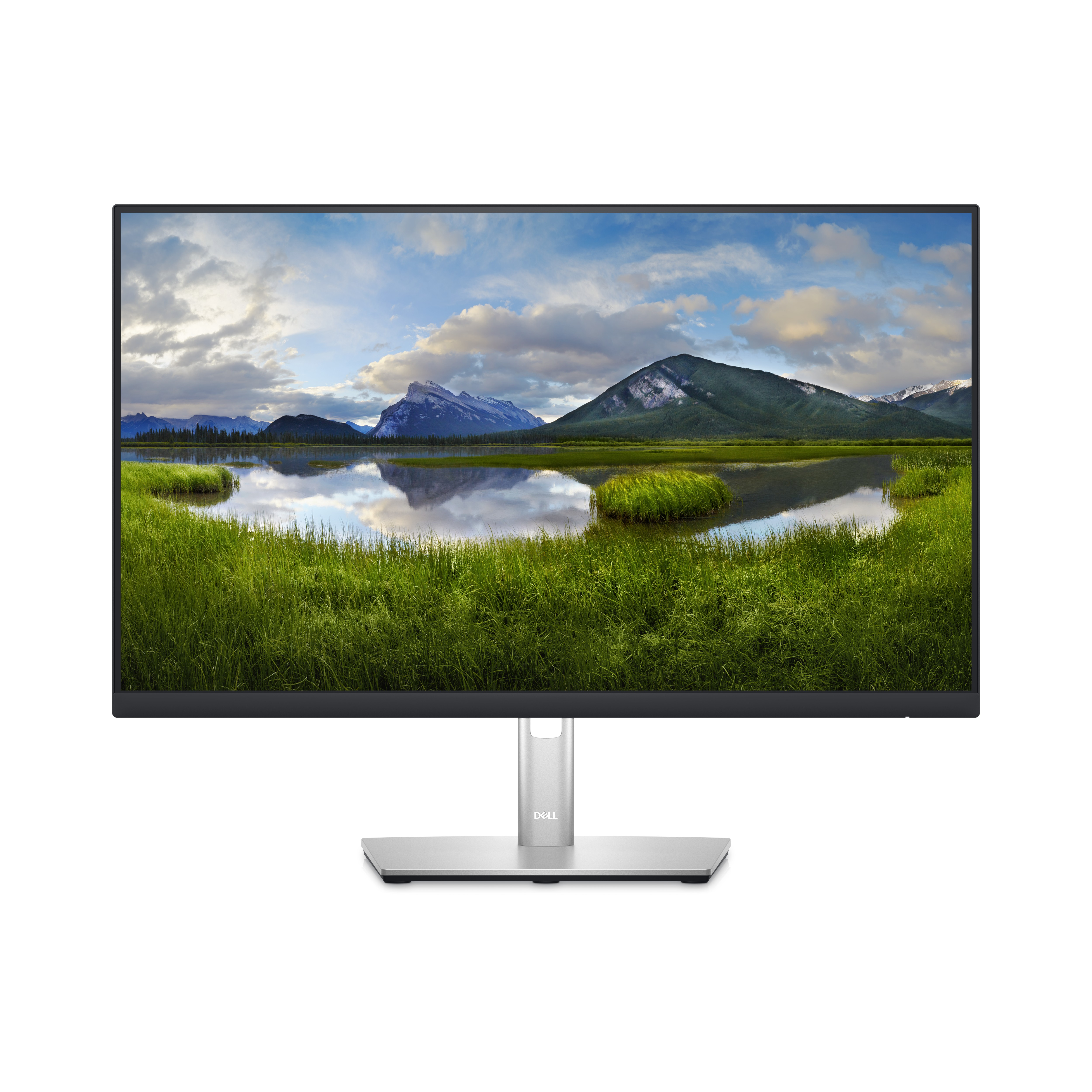 Dell P Series 24 USB-C Hub Monitor - P2423DE display experience