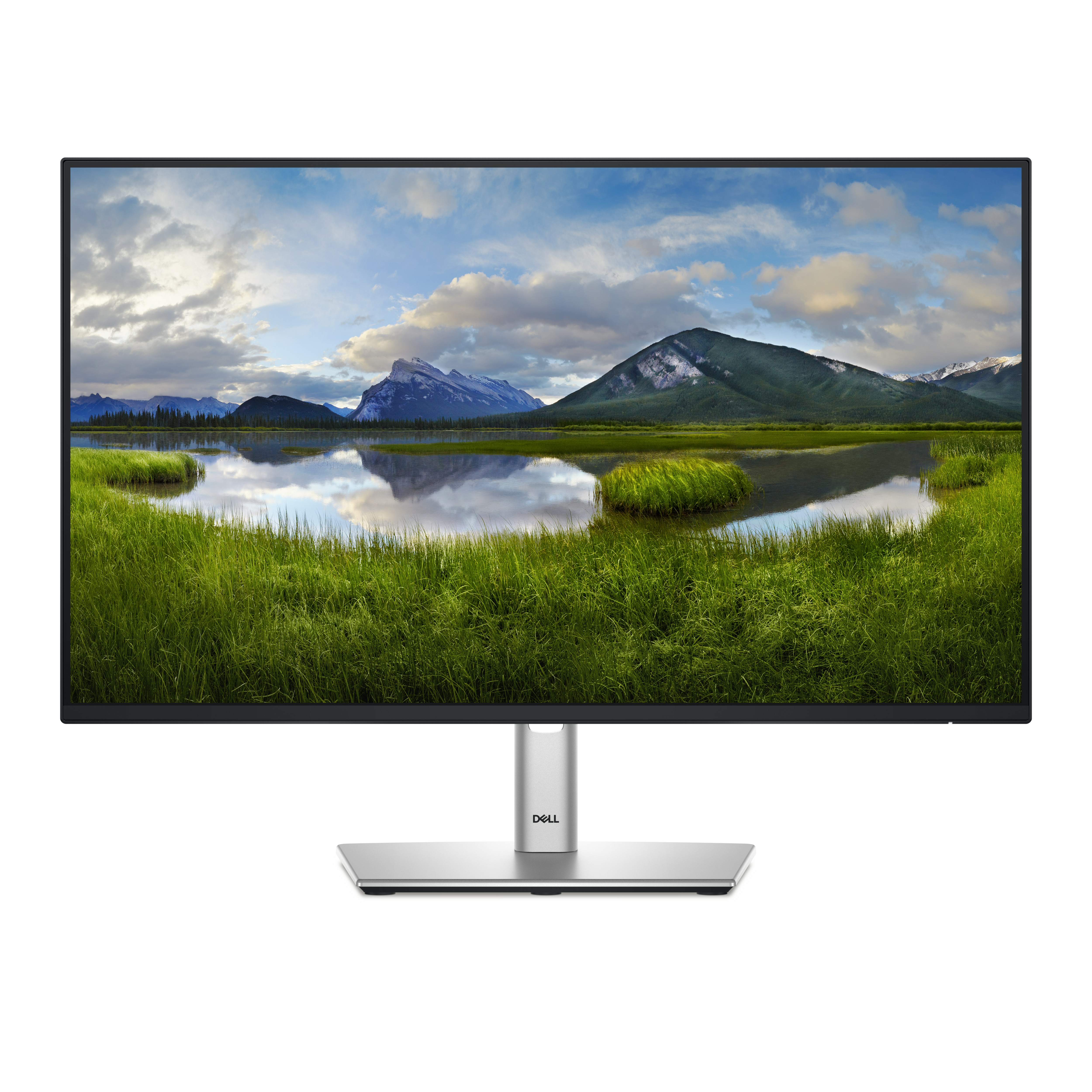 Dell Pro Plus P2425H computer monitor display experience