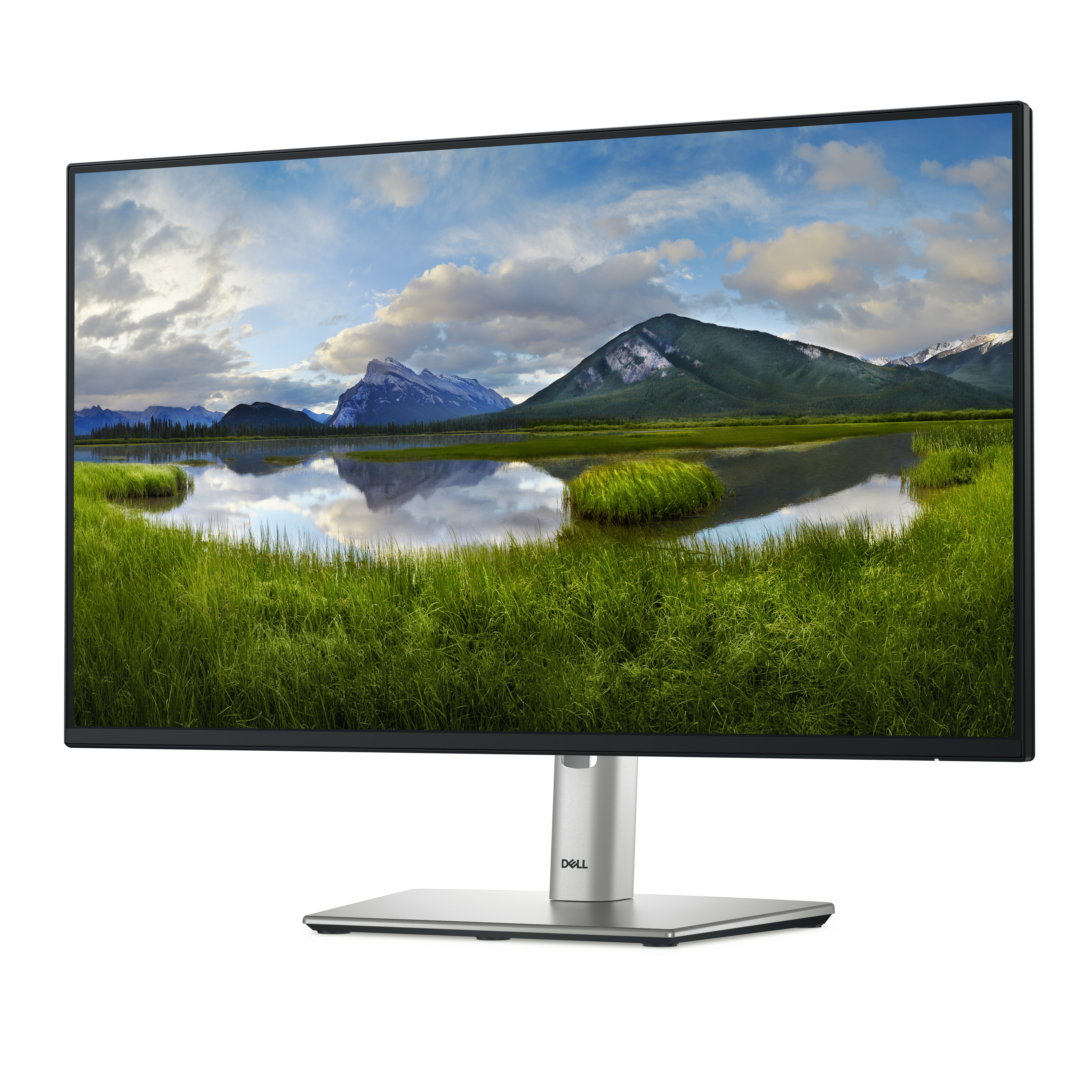 Dell Pro Plus P2425H computer monitor design and build