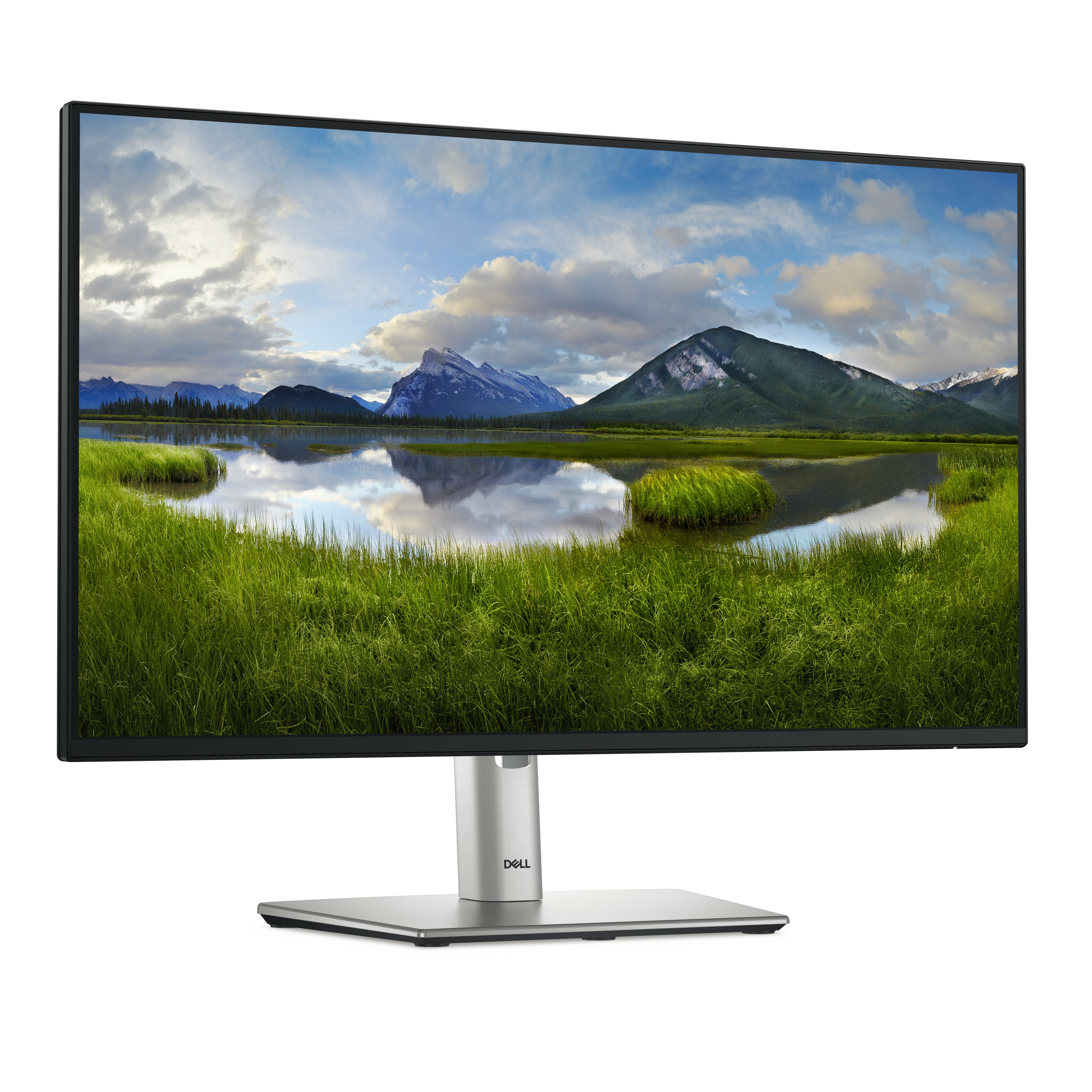 Dell Pro Plus P2425H computer monitor design and build