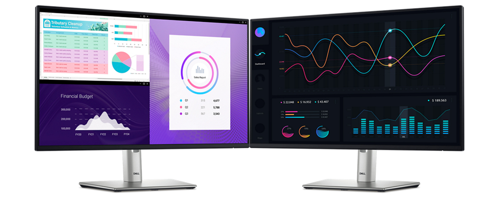 Dell Pro Plus P2425H computer monitor work in clear details