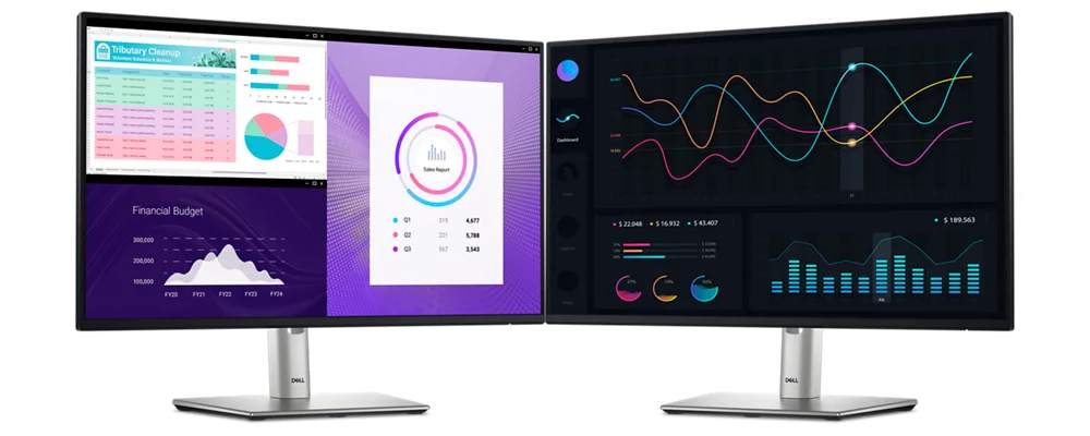 Dell Pro Plus P2425H computer monitor work in clear details